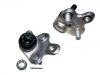 球头 Ball Joint:43330-29375