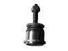 Joint de suspension Ball Joint:XR841215