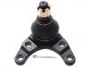 Ball Joint:UR61-34-550